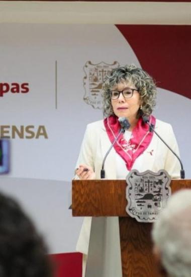 Festival Internacional en la Costa del Seno Mexicano llegará a los 43 municipios