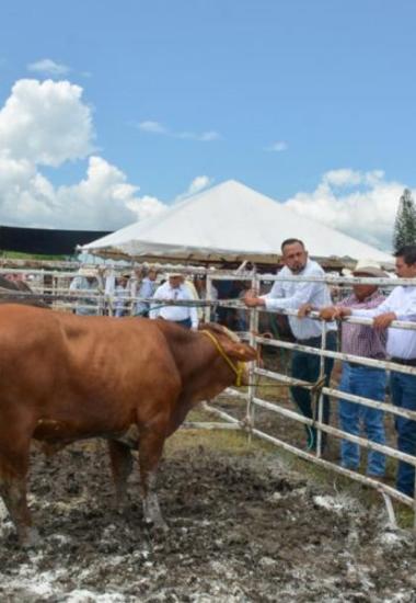 Reitera Gobierno del Estado su compromiso con el sector ganadero