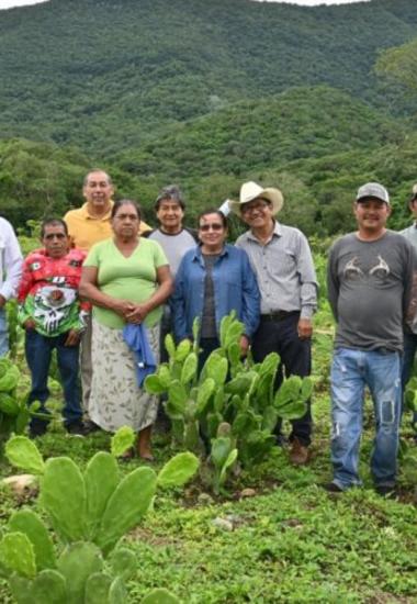 Impulsan buenas prácticas agrícolas en Gómez Farías, Llera y Xicoténcatl
