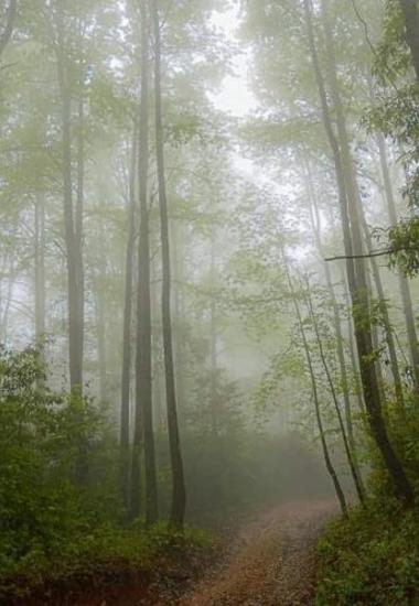 Tamaulipas, complemento de la aventura mundialista del fútbol