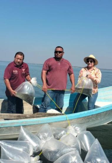 Avanza repoblamiento pesquero en Tamaulipas con la siembra de 200 mil alevines