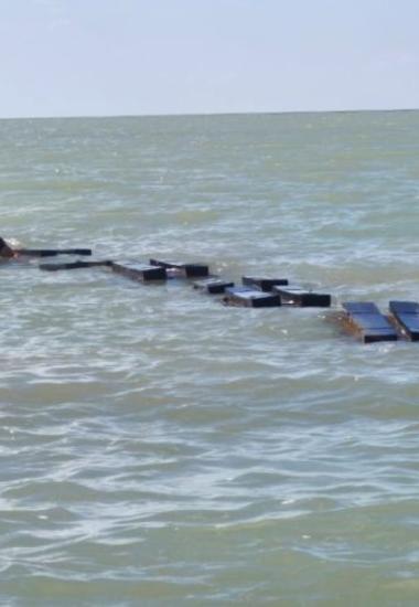 Garantiza supervisión técnica buenas prácticas acuícolas en Tamaulipas