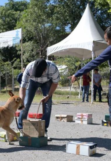 Refuerza Gobierno de Tamaulipas sanidad pecuaria con caninos especializados
