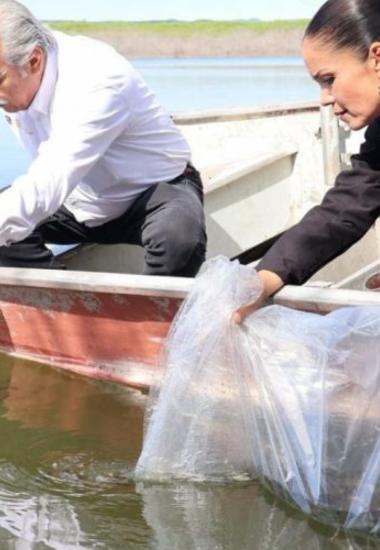 Promueven repoblamiento pesquero en Tamaulipas con la liberación de 8 mil alevines