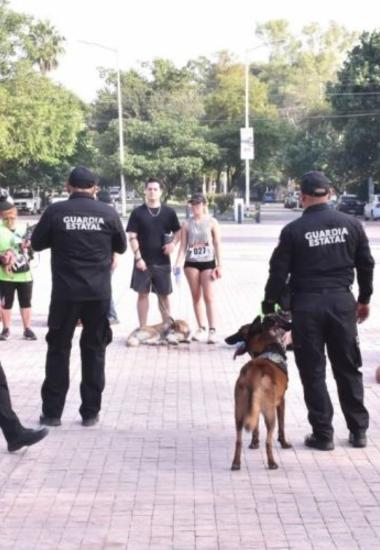 Con más de tres mil acciones operativas y de proximidad, el Agrupamiento Canino de la Guardia Estatal fortalece la prevención y combate al delito en Tamaulipas